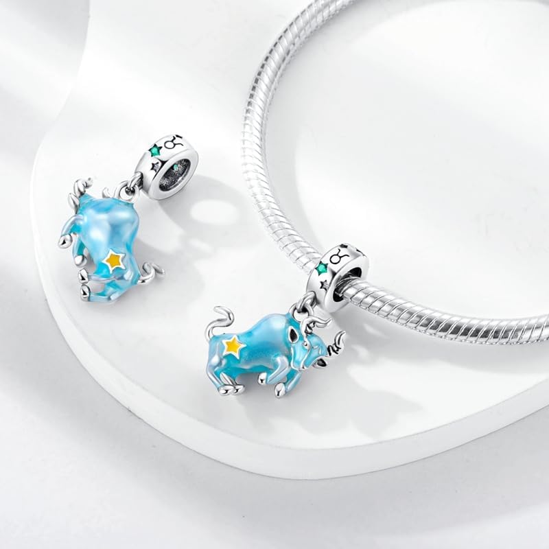 Taurus charm