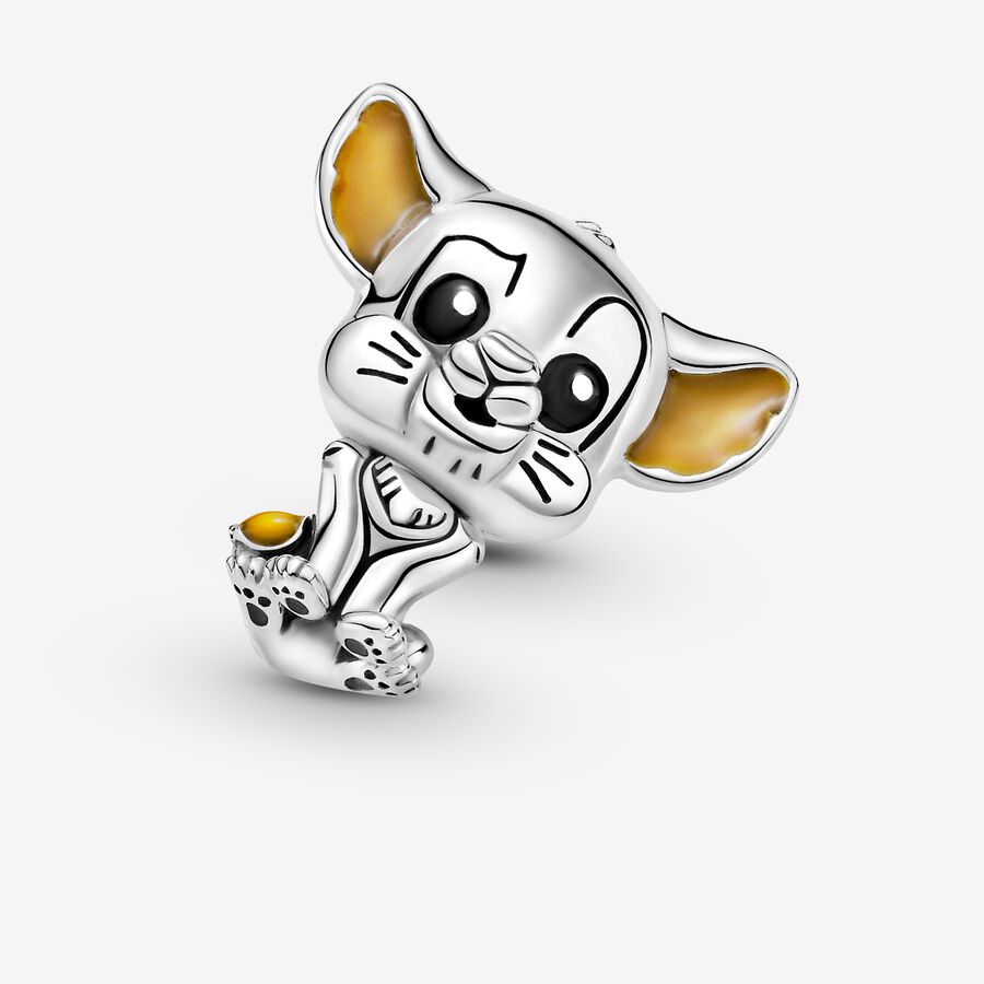 Simba Charm