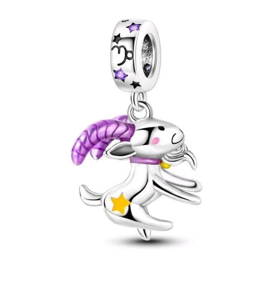 Capricorn Charm