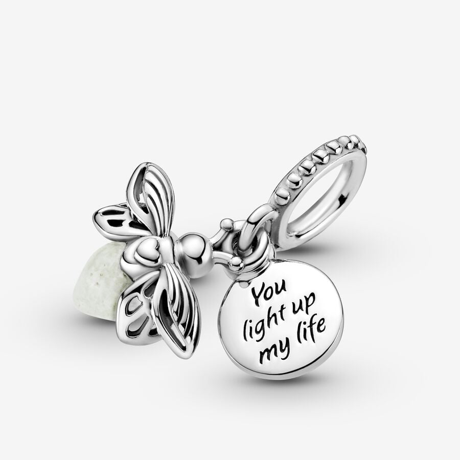 Dragon fly charm